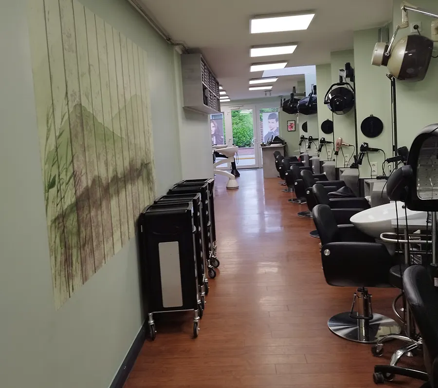 Salon Fischer, Innenansicht